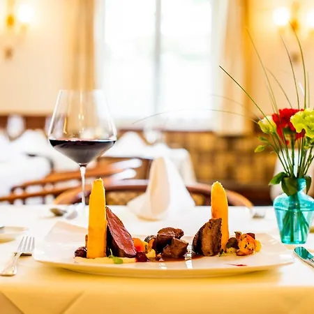 Babenbergerhof Hotel Ybbs an der Donau