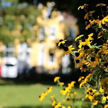 Babenbergerhof Hotel Ybbs an der Donau