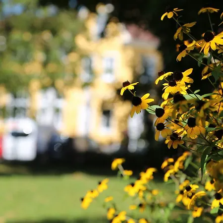 Babenbergerhof Hotel Ybbs an der Donau