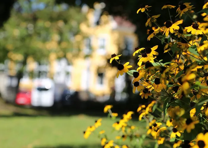 Babenbergerhof Otel İps