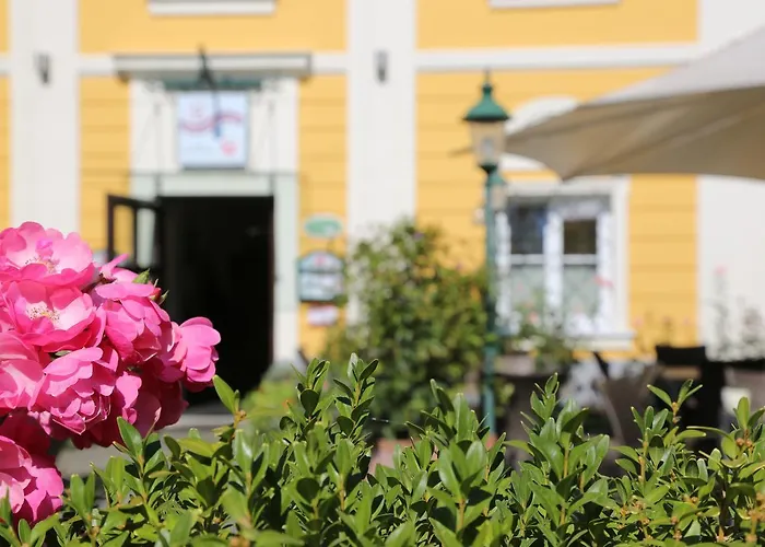 Otel Babenbergerhof İps